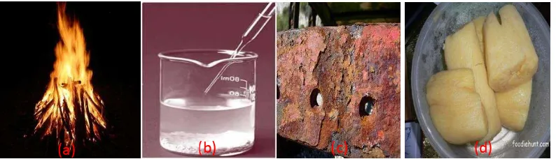 Gambar 2.5  (a) Pembakaran kayu, (b) Terbentunya endapan dari reaksi Perak Nitrat dengan Natrium Klorida, (c) Besi berkarat, dan (d) Tapai ubi hasil fermentasi