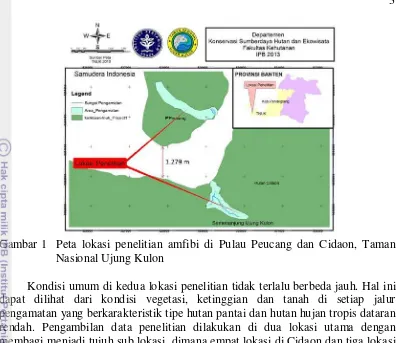 Gambar 1  Peta lokasi penelitian amfibi di Pulau Peucang dan Cidaon, Taman 