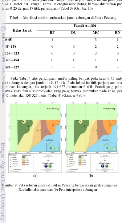 Tabel 4  Distribusi amfibi berdasarkan jarak kubangan di Pulau Peucang 