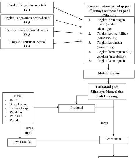 Gambar 5.  Kerangka pemikiran persepsi petani terhadap usahatahi padi varietas Cilamaya muncul dan Ciherang di Kecamatan Palas Kabupaten Lampung Selatan, Tahun 2014