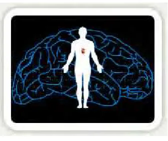 Figure 2.3 : Brain Work 