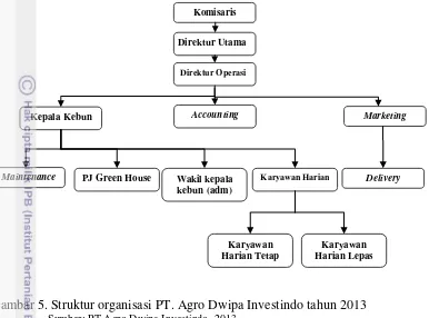 Gambar 5. Struktur organisasi PT. Agro Dwipa Investindo tahun 2013 