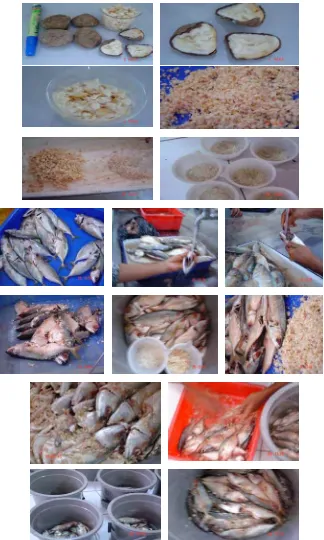 Gambar 8  Dokumentasi  Alur Proses Aplikasi Penambahan Campuran   Biji Picung dan Garam pada Ikan Kembung Segar 