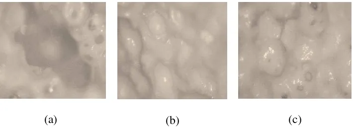 Gambar 6  Morfologi sampel (a) A4 (b) B4 (c) C4 dengan menggunakan Mikroskop Polarisasi dengan perbesaran 40x 