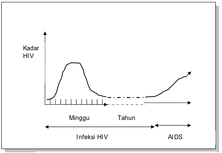 Gambar 1. Perjalanan Kadar HIV di Tubuh ODHA 