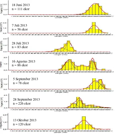 Gambar 6. Grafik frekuensi panjang ikan selar kuning total sampling 1 – 7 