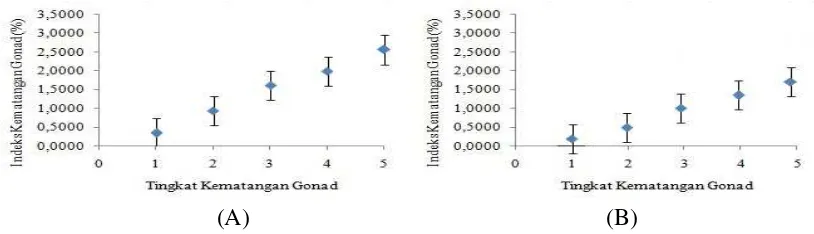 Gambar 15. Indeks kematangan gonad ikan selar kuning betina (A) dan jantan (B) pada setiap TKG 