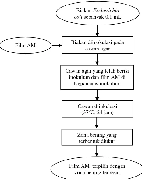 Gambar 6  Diagram alir pengujian aktifitas antimikroba film AM (Li et al. 2006) 