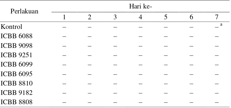 Tabel 5  Hasil uji hipersensitivitas 8 isolat pada daun tembakau 