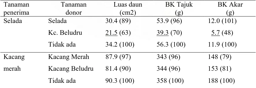 Tabel 4.  Pengaruh kacang beludru terhadap pertumbuhan selada dan kacang merah pada percobaan sistem stairstep   