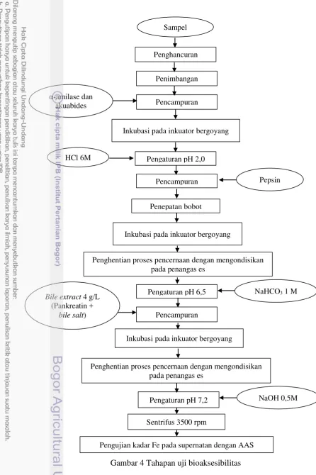 Gambar 4 Tahapan uji bioaksesibilitas 