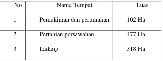 Tabel 4.2 Luas Wilayah Desa Balinuraga 
