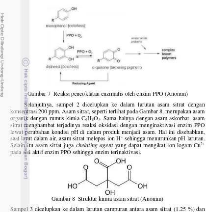 Gambar 7  Reaksi pencoklatan enzimatis oleh enzim PPO (Anonim) 