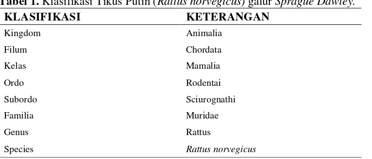 Tabel 1. Klasifikasi Tikus Putih (Rattus norvegicus) galur Sprague Dawley. 