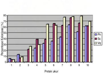 Gambar 8.  Hubungan antara persentase kolonisasi dengan tingkat salinitas tanah (diwakili oleh petak ukur) pada satu individu tanaman