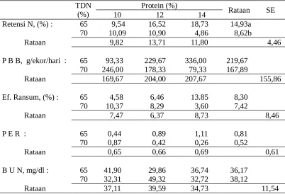 Tabel  7.  Retensi N, PBB, efisiensi ransum, dan PER  ransum yang sinkron dengan                berbagai kandungan energi dan protein