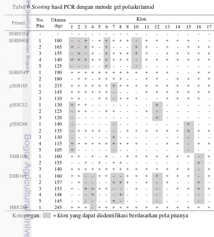 Tabel 6 Scoring hasil PCR dengan metode gel poliakrilamid 