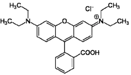 Gambar 2. Struktur molekul Rhodamin B (Ismadji dkk., 2005) 