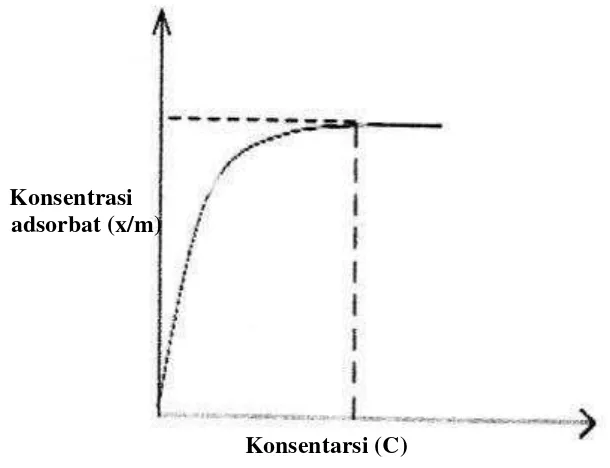 Gambar 3.  Kurva isotermal Langmuir. 
