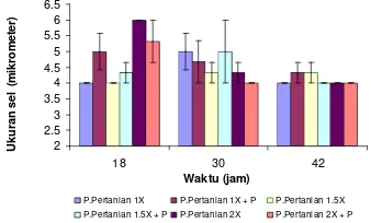 Gambar 2 Ukuran sel alga C. muelleri pada media pupuk pertanian 1x, 1.5x, 2x dengan dan tanpa  penambahan probiotik Bacillus sp