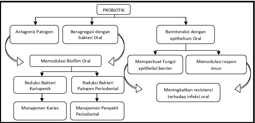 Gambar 1.Aktifitas probiotik di dalam rongga mulut 