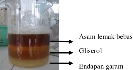 Gambar 3 Lapisan yang terbentuk setelah penambahan asam fosfat 