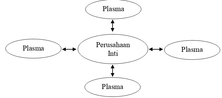 Gambar 1  Pola kemitraan inti-plasma 