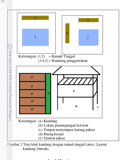 Gambar 2 Tata letak kandang dengan rumah tinggal (atas); Layout  