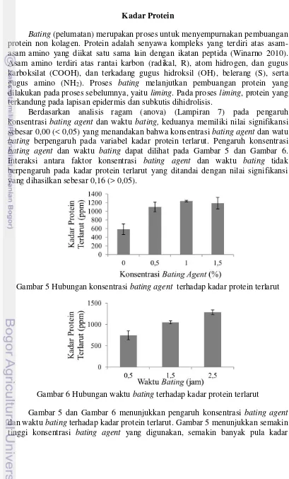 Gambar 5 dan Gambar 6 menunjukkan pengaruh konsentrasi  dan waktu tinggi konsentrasi bating agent bating terhadap kadar protein terlarut
