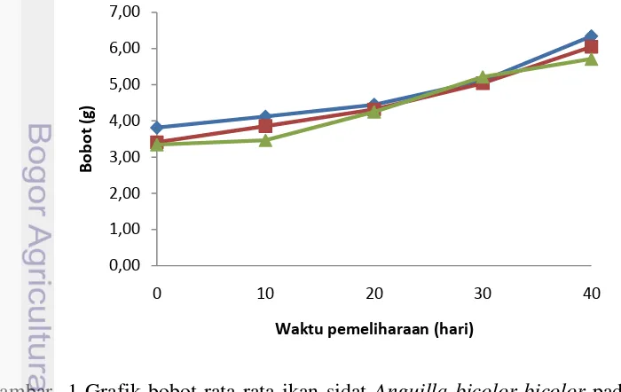 Gambar  1 Grafik bobot rata-rata ikan sidat Anguilla bicolor bicolor padat tebar 