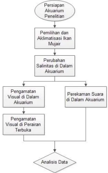 Gambar 1 Diagram alir penelitian 