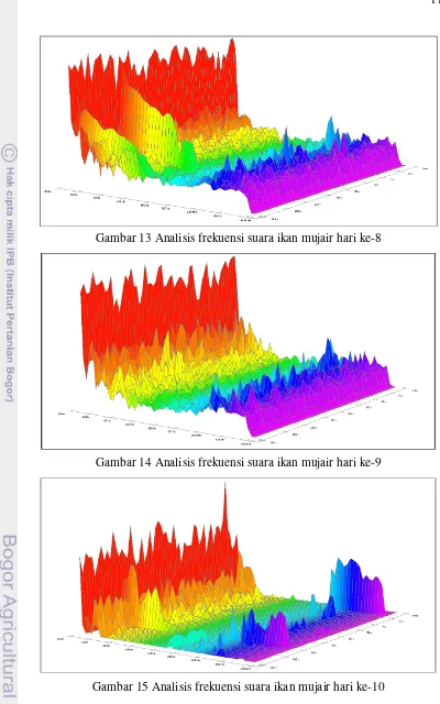 Gambar 15 Analisis frekuensi suara ikan mujair hari ke-10  