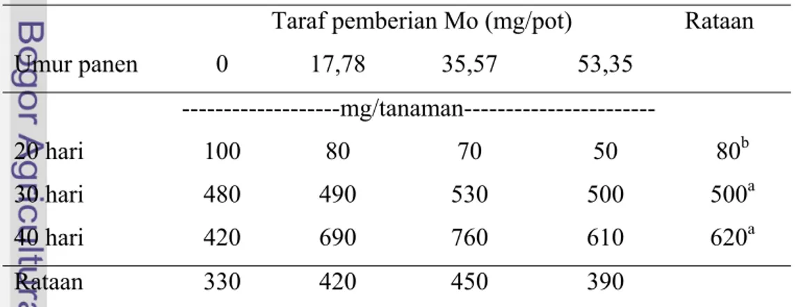 Tabel 11. Pengaruh taraf pemberian unsur hara Mo dan umur panen terhadap  berat  kering akar tanaman kedelai dengan media tanam pasir 