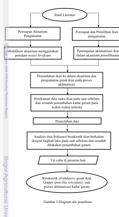 Gambar 3 Diagram alir penelitian 