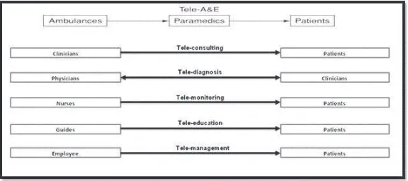 Figure 1.4 Subsets of telemedicine connecting different  