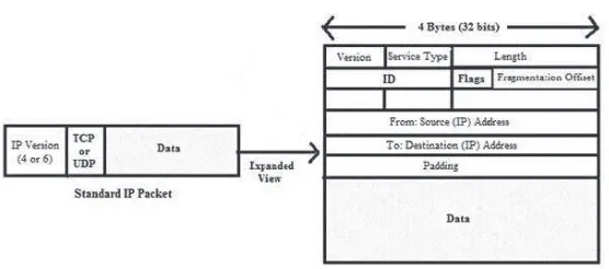 Figure 1.6 Simpliﬁed structure of a typical data packet