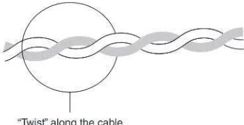 Figure 2.4 Twisted cables (FONG et al 2011)