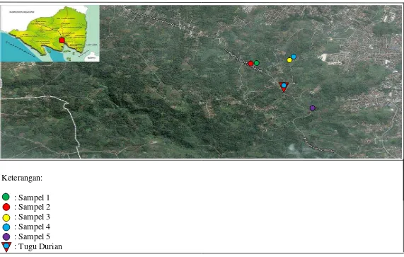 Gambar 1. Lokasi titik pengamatan sampel manggis di Sukadanaham, 2013. 