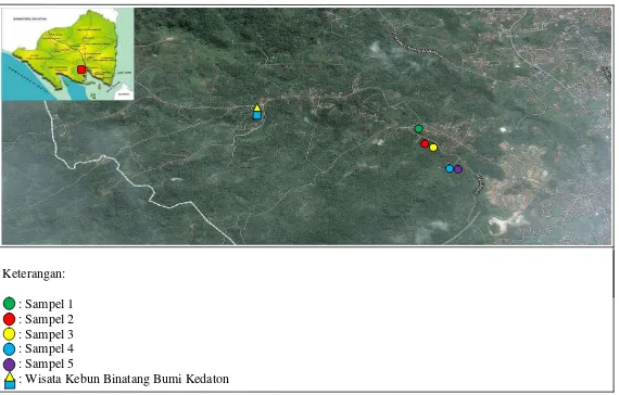 Gambar 2. Lokasi titik pengamatan sampel manggis di Batu Putu, 2013. 
