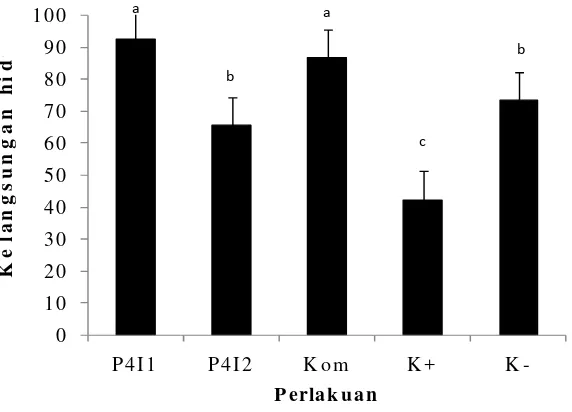 Gambar 3 Kelangsungan hidup ikan lele dumbo (C. gariepinus) pada perlakuanprobiotik Bacillus P4I1 RifR, Bacillus P4I2 RifR, Kom (Bacillus P4I1RifR+Bacillus P4I2 RifR) dan kontrol