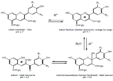 Gambar 4.  Struktur antosianin pada kondisi pH yang berbeda (Wrolstad dan Giusti, 2001) 