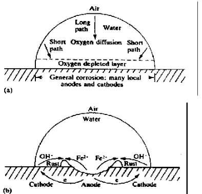 Fig.6. Mechanism of pitting corrosion [8]