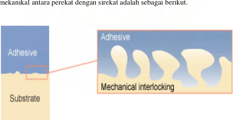 Gambar 1.  Visualisasi adhesi mekanikal antara perekat dengan sirekat 