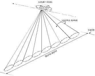 Gambar 3  Visualisasi bentuk sapuan multibeam echosounder (CSI 2003) 