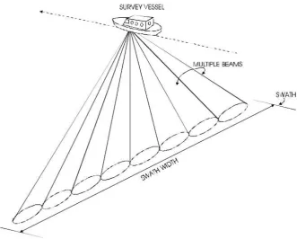 Gambar 3  Visualisasi bentuk sapuan multibeam echosounder (CSI 2003) 