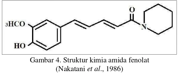 Gambar 4. Struktur kimia amida fenolat