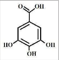 Gambar 6. Struktur kimia flavonoid(Pieta, 2000)