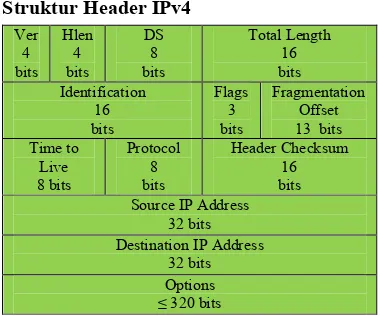 Gambar 2  Struktur header IPv4. 