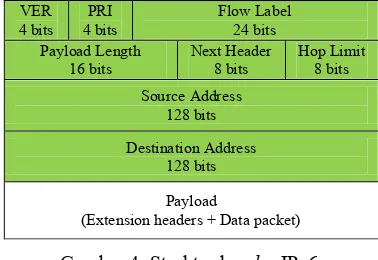 Gambar 4  Struktur header IPv6. 