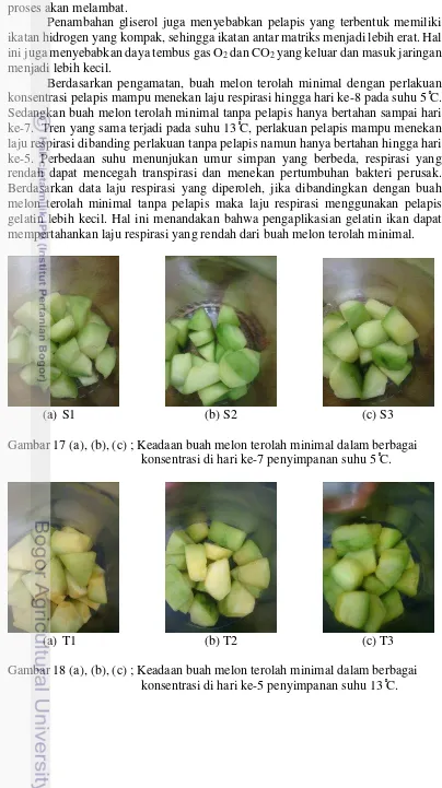 Gambar 17 (a), (b), (c) ; Keadaan buah melon terolah minimal dalam berbagai 